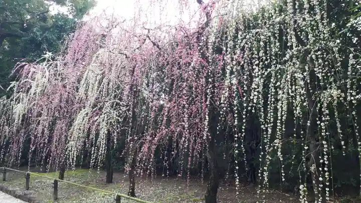 城南宮(京都府)