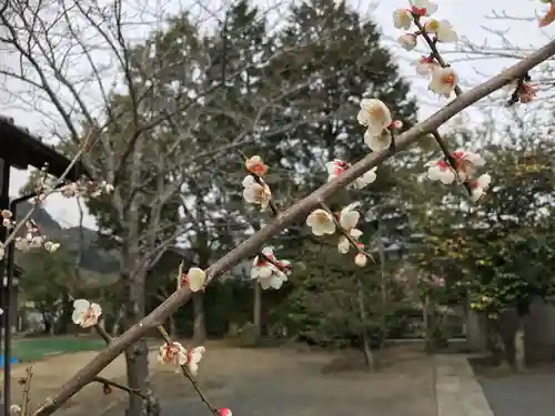 宇原神社(福岡県)