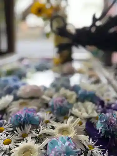 札幌諏訪神社の手水