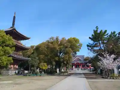 甚目寺(愛知県)