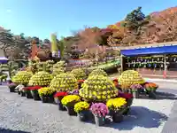 宮八幡神社(福島県)