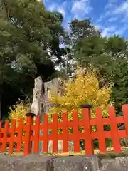 鶴岡八幡宮(神奈川県)