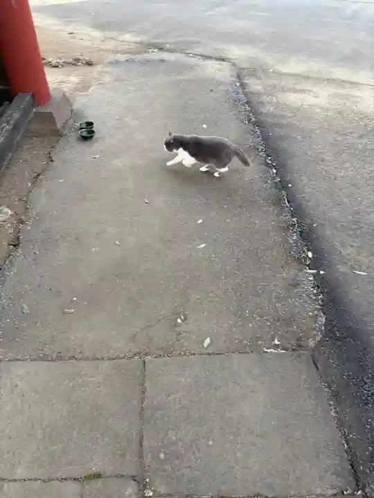 万徳寺(群馬県)
