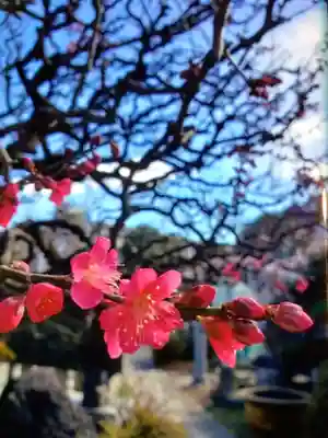 長善寺(東京都)
