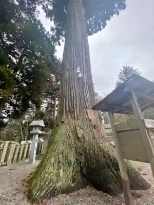 田村神社(滋賀県)
