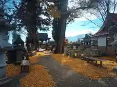 遠照寺の自然