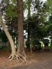 鹿島神社(茨城県)