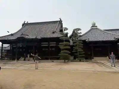 観龍寺の{uncategorized: "未分類", other: "その他", undefined: "問題あり", building: "その他建物", grave: "お墓", sacred_gate: "鳥居", guardian: "狛犬", statue: "像", buddha: "仏像", history: "歴史", nature: "自然", garden: "庭園", animal: "動物", pagoda: "塔", temizu: "手水舎", mountain_gate: "山門・神門", sanctuary: "本殿・本堂", subordinate: "末社・摂社", art: "芸術", scenery: "景色", jizo: "地蔵", ema: "絵馬", goshuin: "御朱印", omikuji: "おみくじ", items: "授与品その他", amulet: "お守り", goshuincho: "御朱印帳", eats: "食事", festival: "お祭り", votive_dance: "神楽", shichigosan: "七五三参", wedding: "結婚式", experience: "体験その他", initially: "初詣", around: "周辺", anti_infection: "感染症対策"}