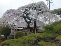 寛立院(曼陀羅寺塔頭)(愛知県)