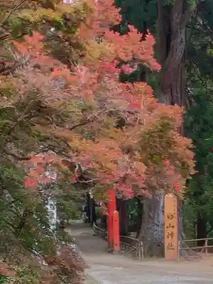 中尊寺(岩手県)