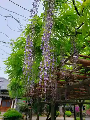 愛染院(東京都)