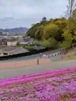 三光稲荷神社の周辺