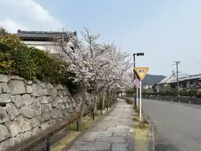 くろ谷 金戒光明寺(京都府)