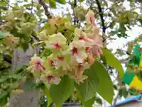 覚照寺(愛知県)