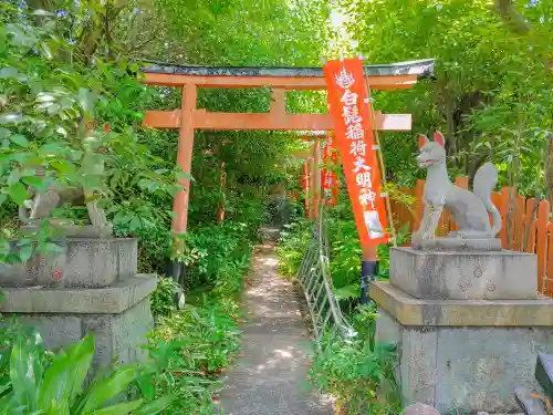 白髭稲荷大明神の鳥居