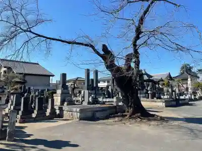 延命寺(群馬県)