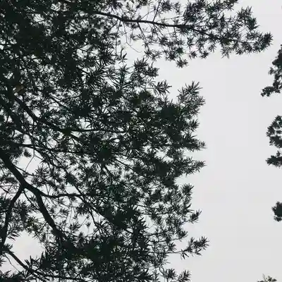 鹿嶋吉田神社の自然