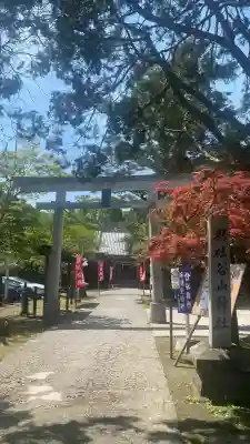 谷山神社の{uncategorized: "未分類", other: "その他", undefined: "問題あり", building: "その他建物", grave: "お墓", sacred_gate: "鳥居", guardian: "狛犬", statue: "像", buddha: "仏像", history: "歴史", nature: "自然", garden: "庭園", animal: "動物", pagoda: "塔", temizu: "手水舎", mountain_gate: "山門・神門", sanctuary: "本殿・本堂", subordinate: "末社・摂社", art: "芸術", scenery: "景色", jizo: "地蔵", ema: "絵馬", goshuin: "御朱印", omikuji: "おみくじ", items: "授与品その他", amulet: "お守り", goshuincho: "御朱印帳", eats: "食事", festival: "お祭り", votive_dance: "神楽", shichigosan: "七五三参", wedding: "結婚式", experience: "体験その他", initially: "初詣", around: "周辺", anti_infection: "感染症対策"}