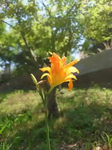 時宗総本山 遊行寺（正式：清浄光寺）(神奈川県)