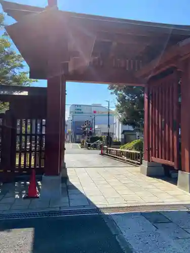 妙蓮寺の山門