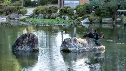 平安神宮(京都府)