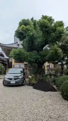 光永寺(大阪府)