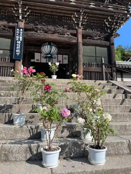 長谷寺の山門・神門