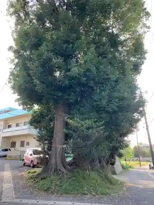 姥神社(千葉県)