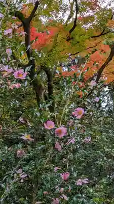 霊鑑寺門跡(京都府)
