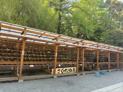 秩父神社の芸術