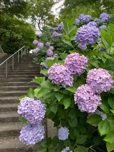長慶寺(大阪府)