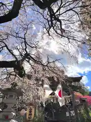 山家神社のお祭り