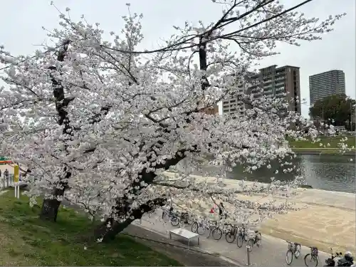 菅生神社(愛知県)