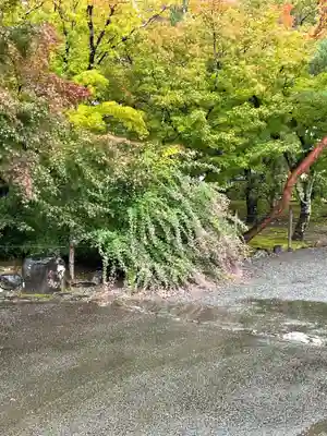 天龍寺(京都府)