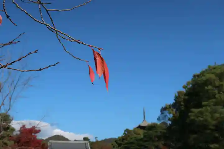 仁和寺(京都府)