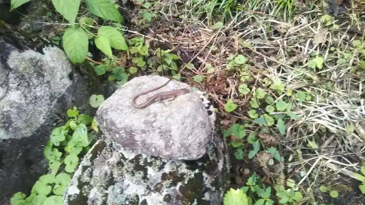 室根神社の動物