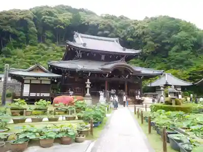 三室戸寺の本殿・本堂