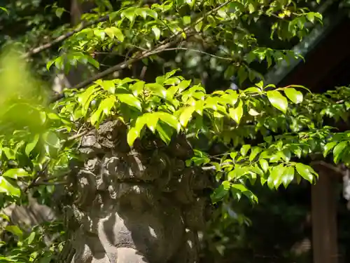 赤坂氷川神社(東京都)