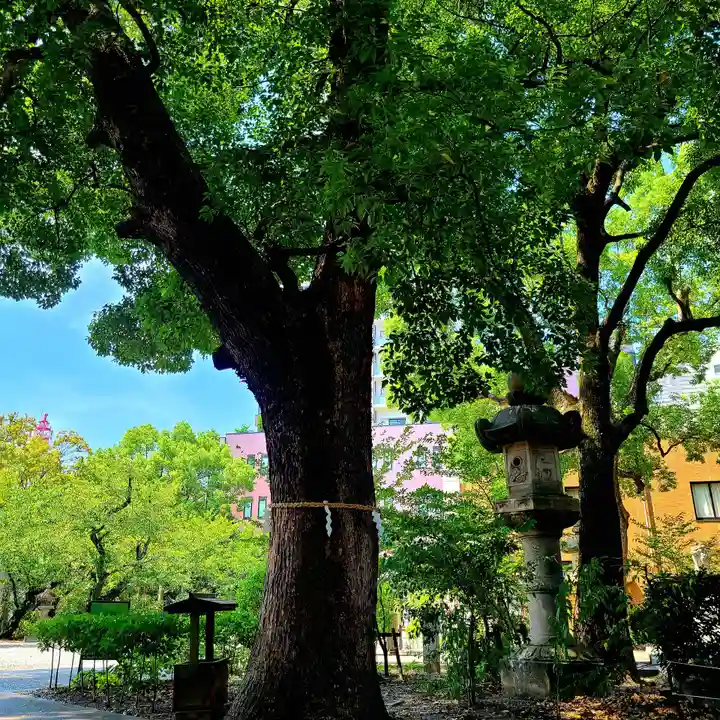 若宮八幡社(愛知県)