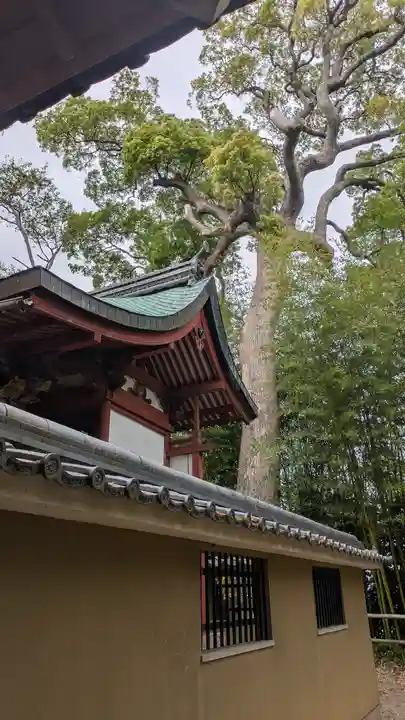 石田神社(京都府)