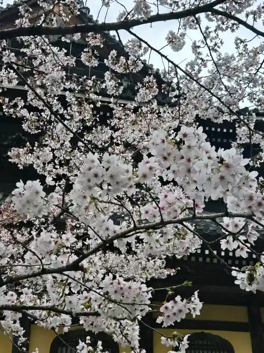南禅寺の{uncategorized: "未分類", other: "その他", undefined: "問題あり", building: "その他建物", grave: "お墓", sacred_gate: "鳥居", guardian: "狛犬", statue: "像", buddha: "仏像", history: "歴史", nature: "自然", garden: "庭園", animal: "動物", pagoda: "塔", temizu: "手水舎", mountain_gate: "山門・神門", sanctuary: "本殿・本堂", subordinate: "末社・摂社", art: "芸術", scenery: "景色", jizo: "地蔵", ema: "絵馬", goshuin: "御朱印", omikuji: "おみくじ", items: "授与品その他", amulet: "お守り", goshuincho: "御朱印帳", eats: "食事", festival: "お祭り", votive_dance: "神楽", shichigosan: "七五三参", wedding: "結婚式", experience: "体験その他", initially: "初詣", around: "周辺", anti_infection: "感染症対策"}