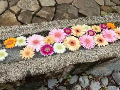 法輪寺の{uncategorized: "未分類", other: "その他", undefined: "問題あり", building: "その他建物", grave: "お墓", sacred_gate: "鳥居", guardian: "狛犬", statue: "像", buddha: "仏像", history: "歴史", nature: "自然", garden: "庭園", animal: "動物", pagoda: "塔", temizu: "手水舎", mountain_gate: "山門・神門", sanctuary: "本殿・本堂", subordinate: "末社・摂社", art: "芸術", scenery: "景色", jizo: "地蔵", ema: "絵馬", goshuin: "御朱印", omikuji: "おみくじ", items: "授与品その他", amulet: "お守り", goshuincho: "御朱印帳", eats: "食事", festival: "お祭り", votive_dance: "神楽", shichigosan: "七五三参", wedding: "結婚式", experience: "体験その他", initially: "初詣", around: "周辺", anti_infection: "感染症対策"}