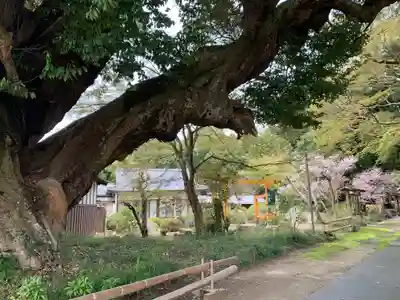 三嶋神社(茨城県)