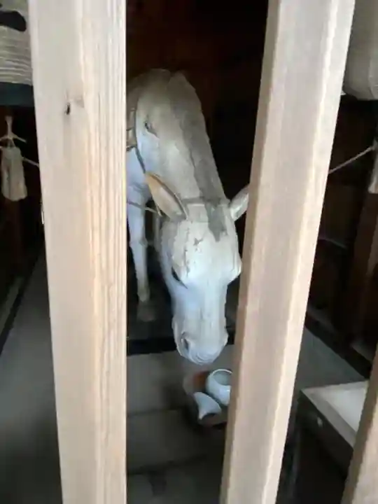 高砂神社(兵庫県)