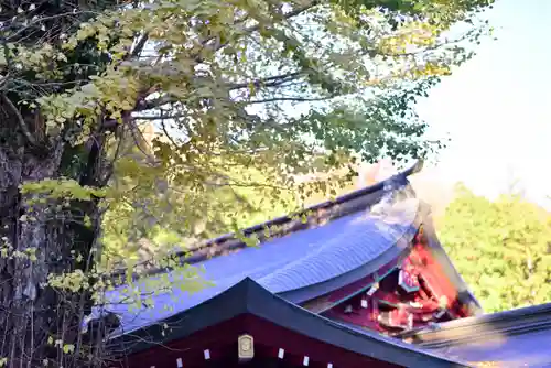 箱根神社(神奈川県)