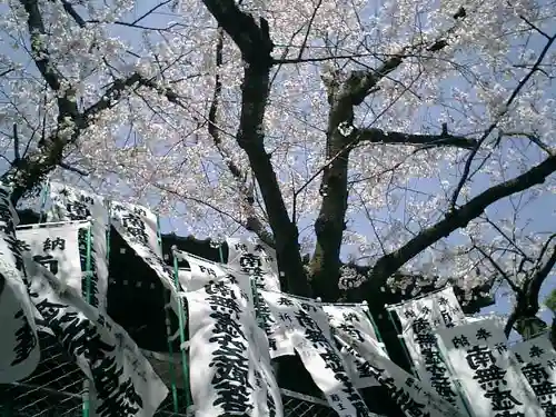 星井寺（ 明鏡山円満院星井寺虚空蔵堂 ）の景色