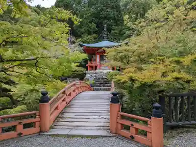 醍醐寺(京都府)