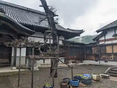 松福寺(福井県)