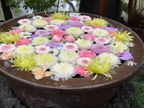 武蔵一宮氷川神社(埼玉県)