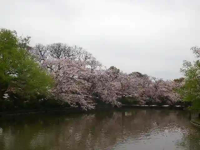 鶴岡八幡宮の庭園